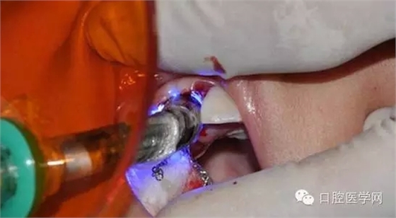 29.webp.jpg 29.webp.jpg