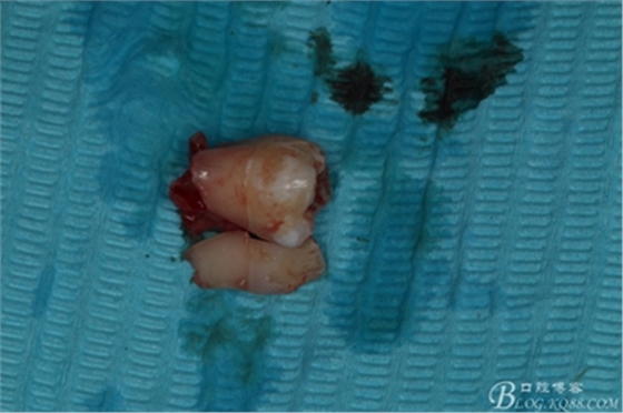 19_副本.jpg 19_副本.jpg