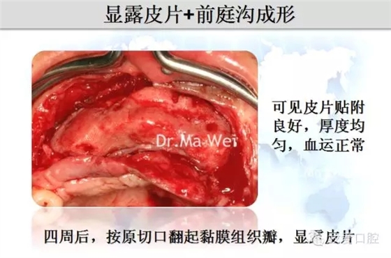 10.webp.jpg 10.webp.jpg