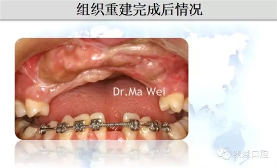 13.webp.jpg 13.webp.jpg