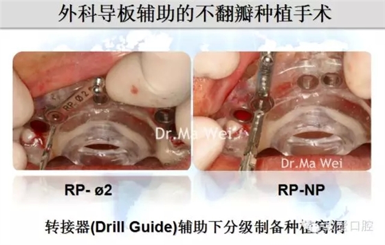 21.webp.jpg 21.webp.jpg