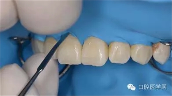 1.webp.jpg 1.webp.jpg