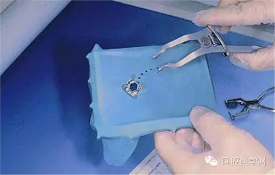 5.webp.jpg 5.webp.jpg