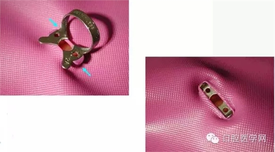 6.webp.jpg 6.webp.jpg