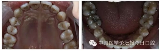 12.webp.jpg 12.webp.jpg