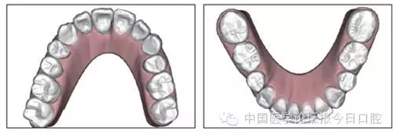 17.webp.jpg 17.webp.jpg