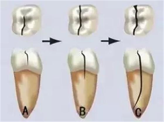 1.webp.jpg 1.webp.jpg