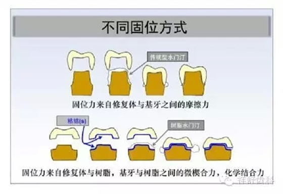 1.webp.jpg 1.webp.jpg