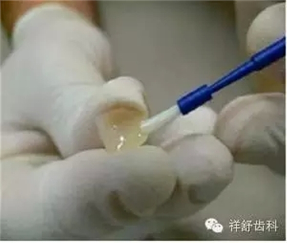 5.webp.jpg 5.webp.jpg