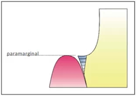 21.webp.jpg 21.webp.jpg