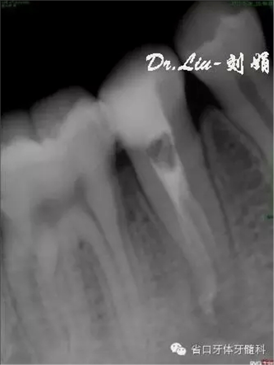 7.webp.jpg 7.webp.jpg