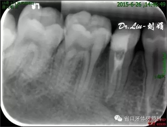 8.webp.jpg 8.webp.jpg