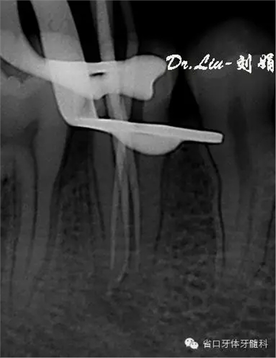 9.webp.jpg 9.webp.jpg