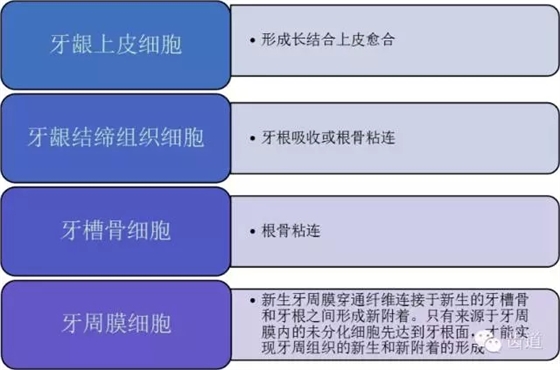 1.webp.jpg 1.webp.jpg