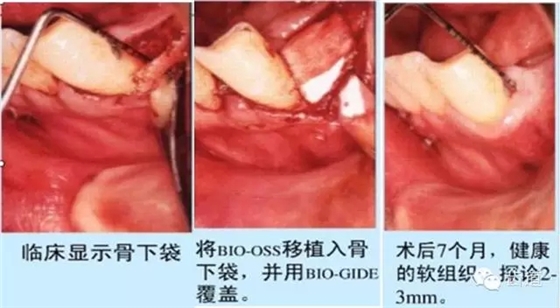 19.webp.jpg 19.webp.jpg