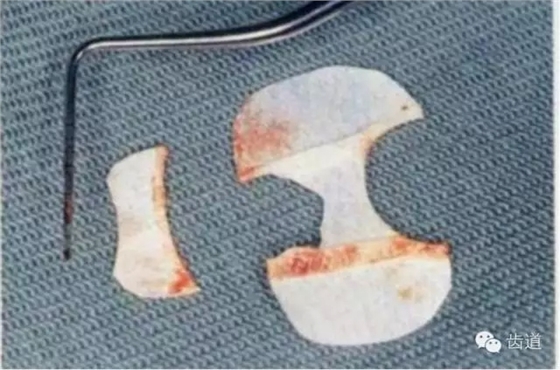 20.webp.jpg 20.webp.jpg