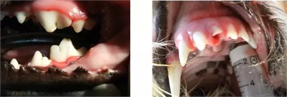 6.webp.jpg 6.webp.jpg