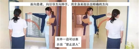 53.webp.jpg 53.webp.jpg