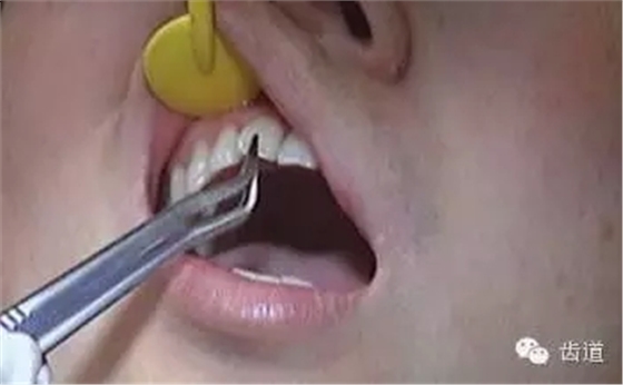 4.webp.jpg 4.webp.jpg