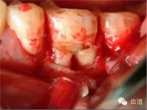 7.webp.jpg 7.webp.jpg