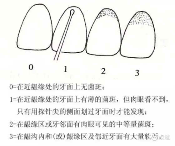 1.webp.jpg 1.webp.jpg