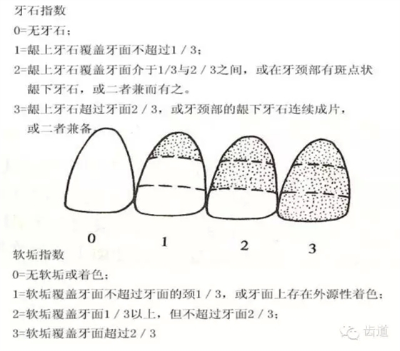 3.webp.jpg 3.webp.jpg