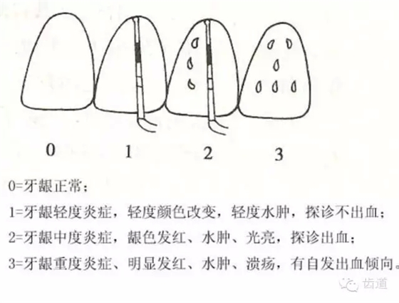 4.webp.jpg 4.webp.jpg