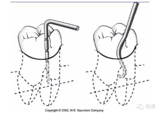 9.webp.jpg 9.webp.jpg