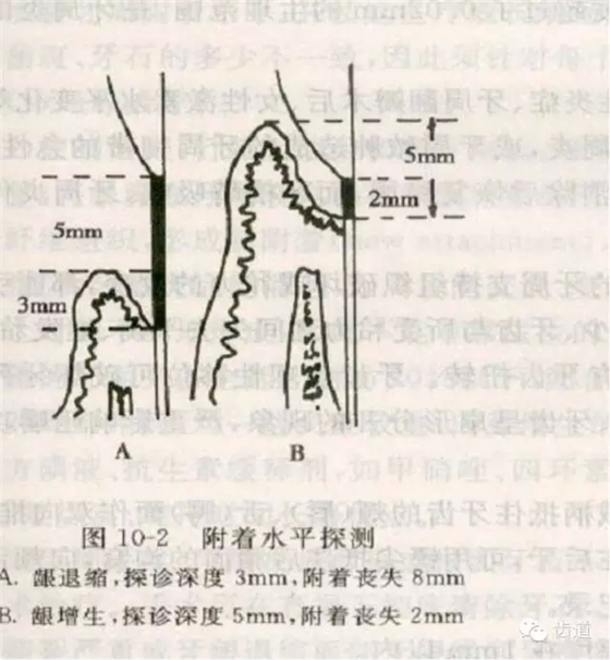 11.webp.jpg 11.webp.jpg