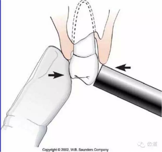 12.webp.jpg 12.webp.jpg