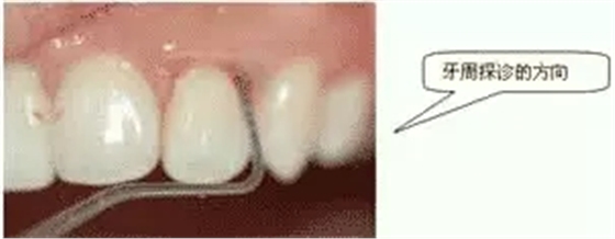 1.webp.jpg 1.webp.jpg