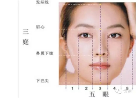 牙醫(yī)基礎(chǔ)知識:口腔頜面部應(yīng)用解剖生理 牙醫(yī)基礎(chǔ)知識:口腔頜面部應(yīng)用解剖生理