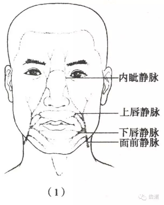 1.webp.jpg 1.webp.jpg