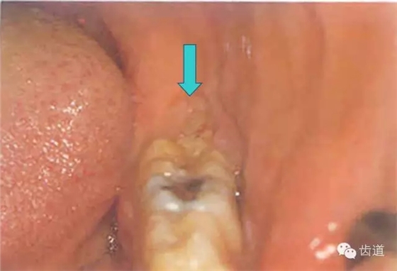 8.webp.jpg 8.webp.jpg