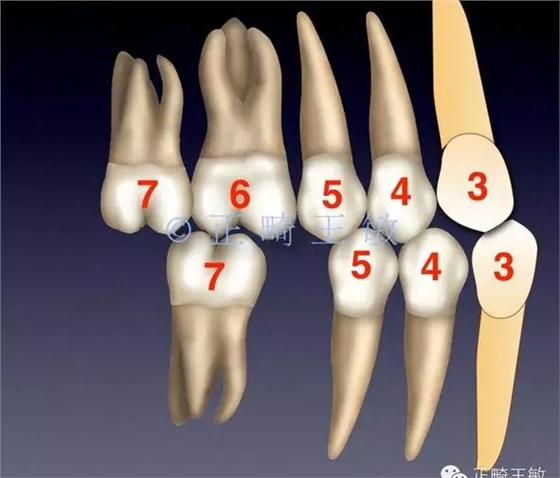 36.webp.jpg 36.webp.jpg