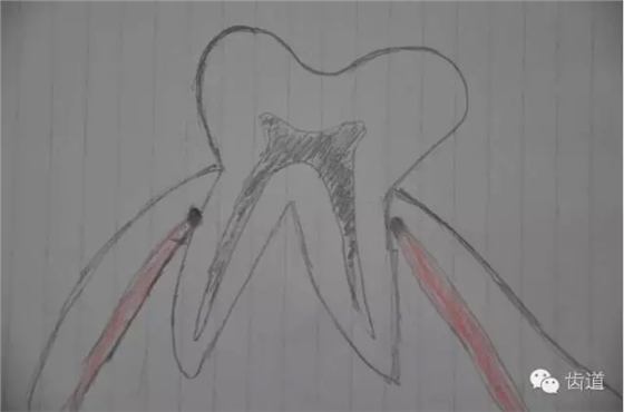 41.webp.jpg 41.webp.jpg