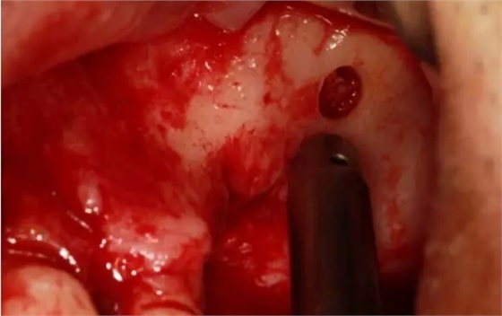 3.webp.jpg 3.webp.jpg