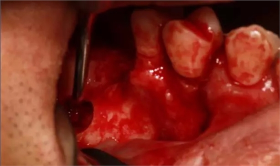 7.webp.jpg 7.webp.jpg