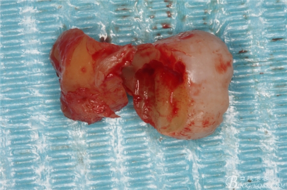 20141021210136_37175.jpg 20141021210136_37175.jpg