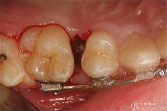 9_副本.jpg 9_副本.jpg