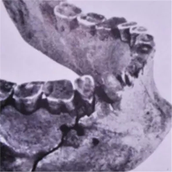 1.webp.jpg 1.webp.jpg