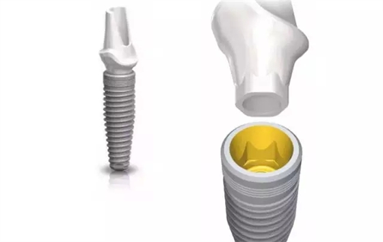 12.webp.jpg 12.webp.jpg