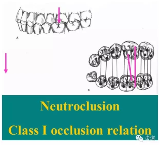 2.webp.jpg 2.webp.jpg