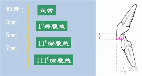 12.webp.jpg 12.webp.jpg