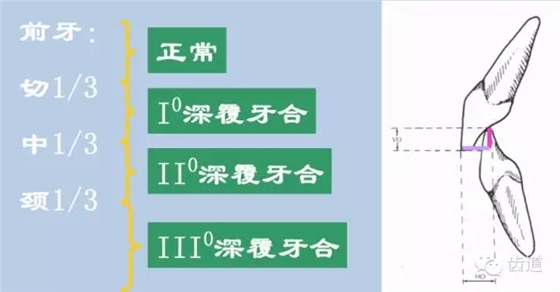 13.webp.jpg 13.webp.jpg