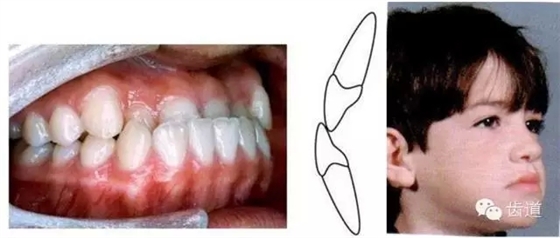 16.webp.jpg 16.webp.jpg