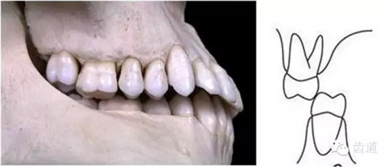 19.webp.jpg 19.webp.jpg