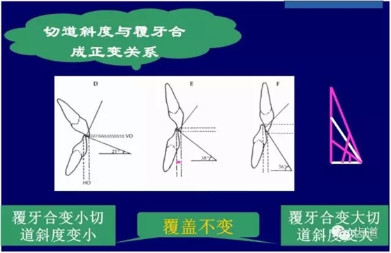 22.webp.jpg 22.webp.jpg