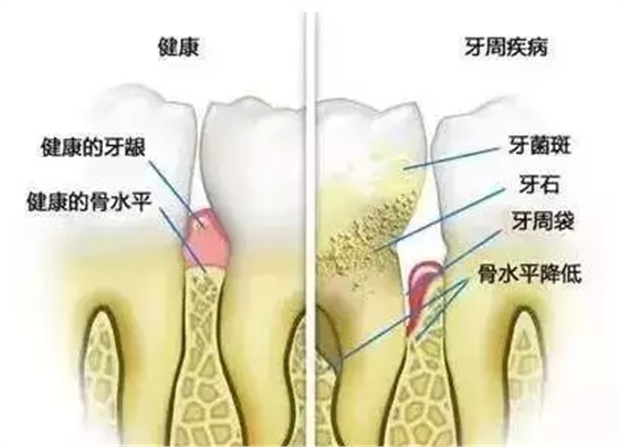 1.webp.jpg 1.webp.jpg