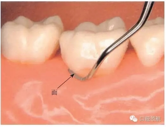 3.webp.jpg 3.webp.jpg